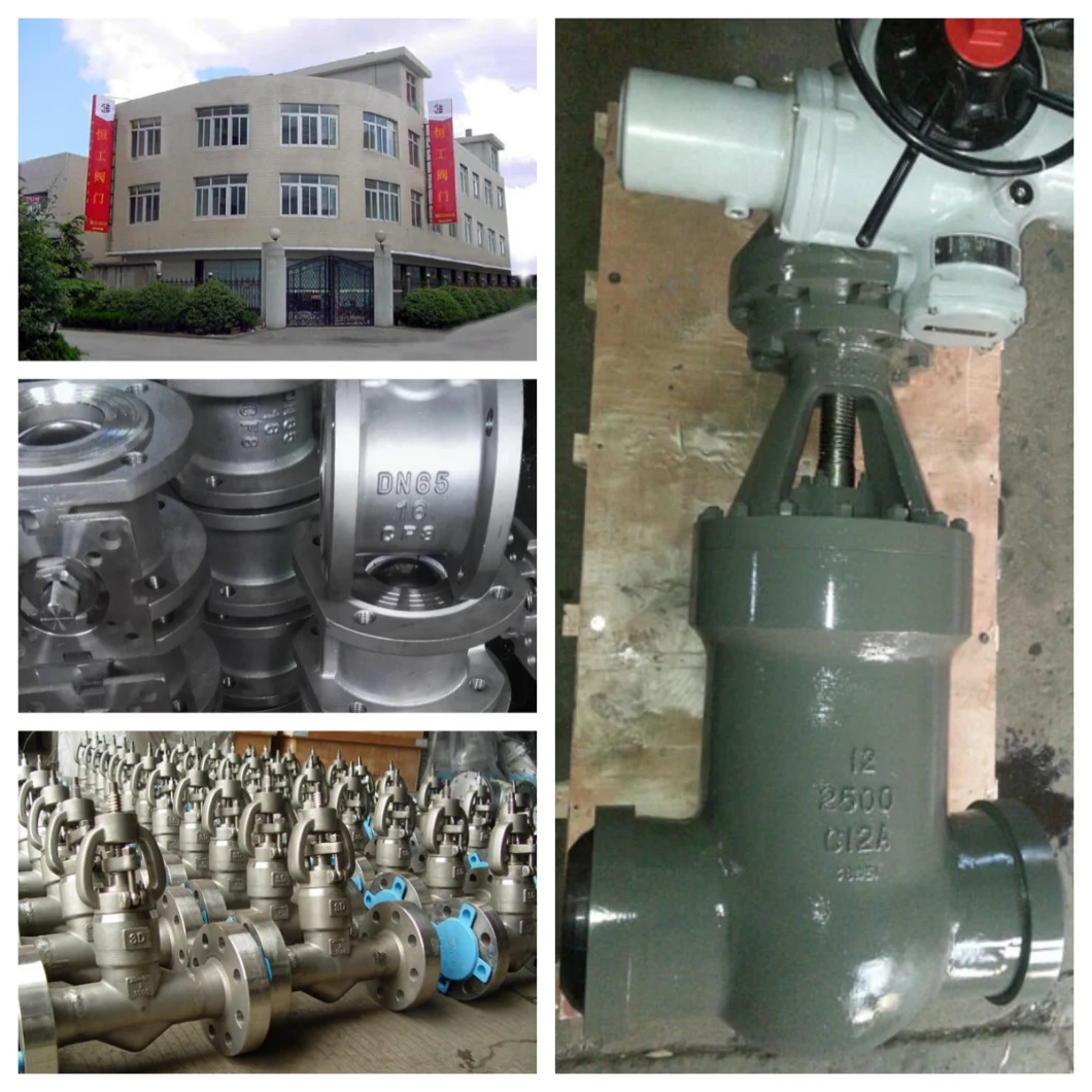 DIN/API Wcb High Pressure Bellow Seal Globe Valve