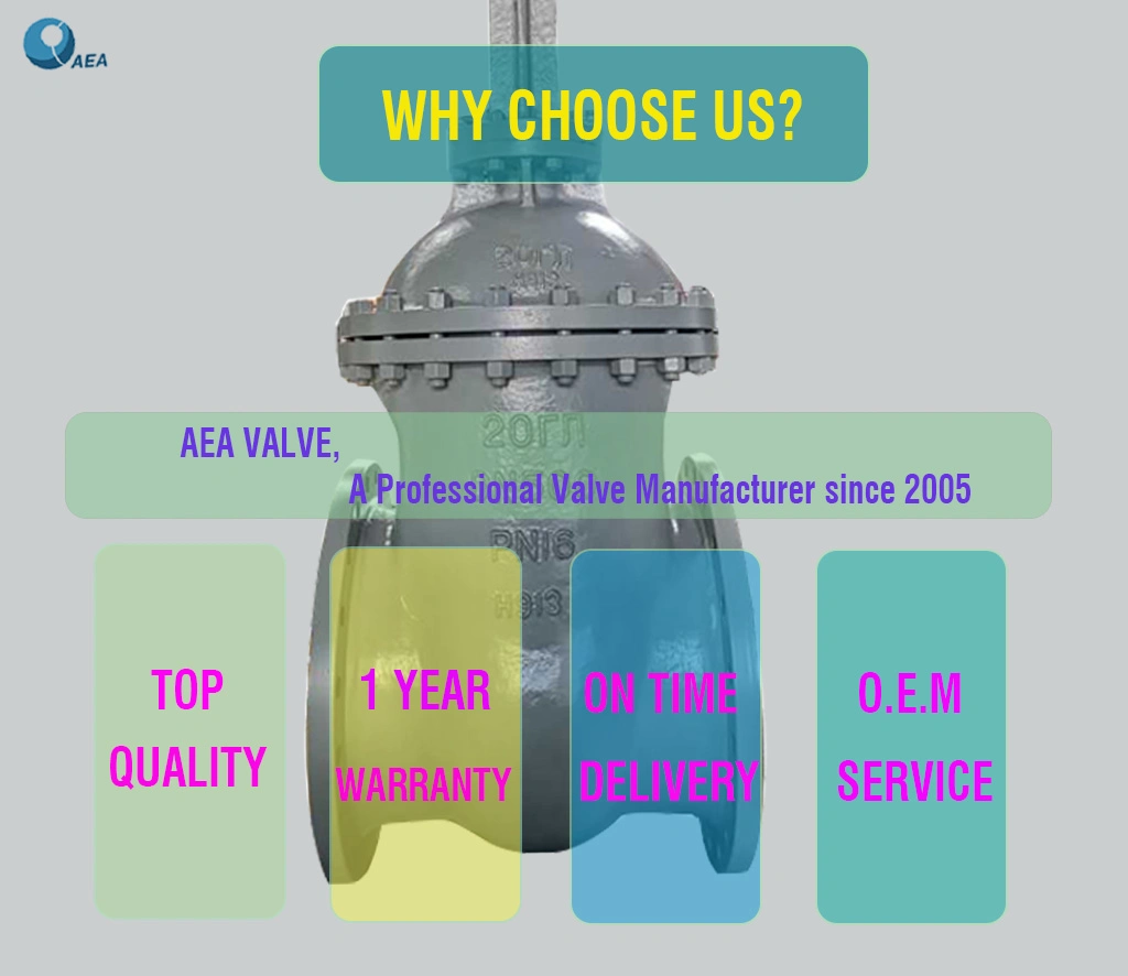 Russian Standard GOST 5762 GOST 9698 Py16 Py25 Py40 Py63 Carbon Steel Bolted Bonnet Flexible Wedge Flanged Gate Valve